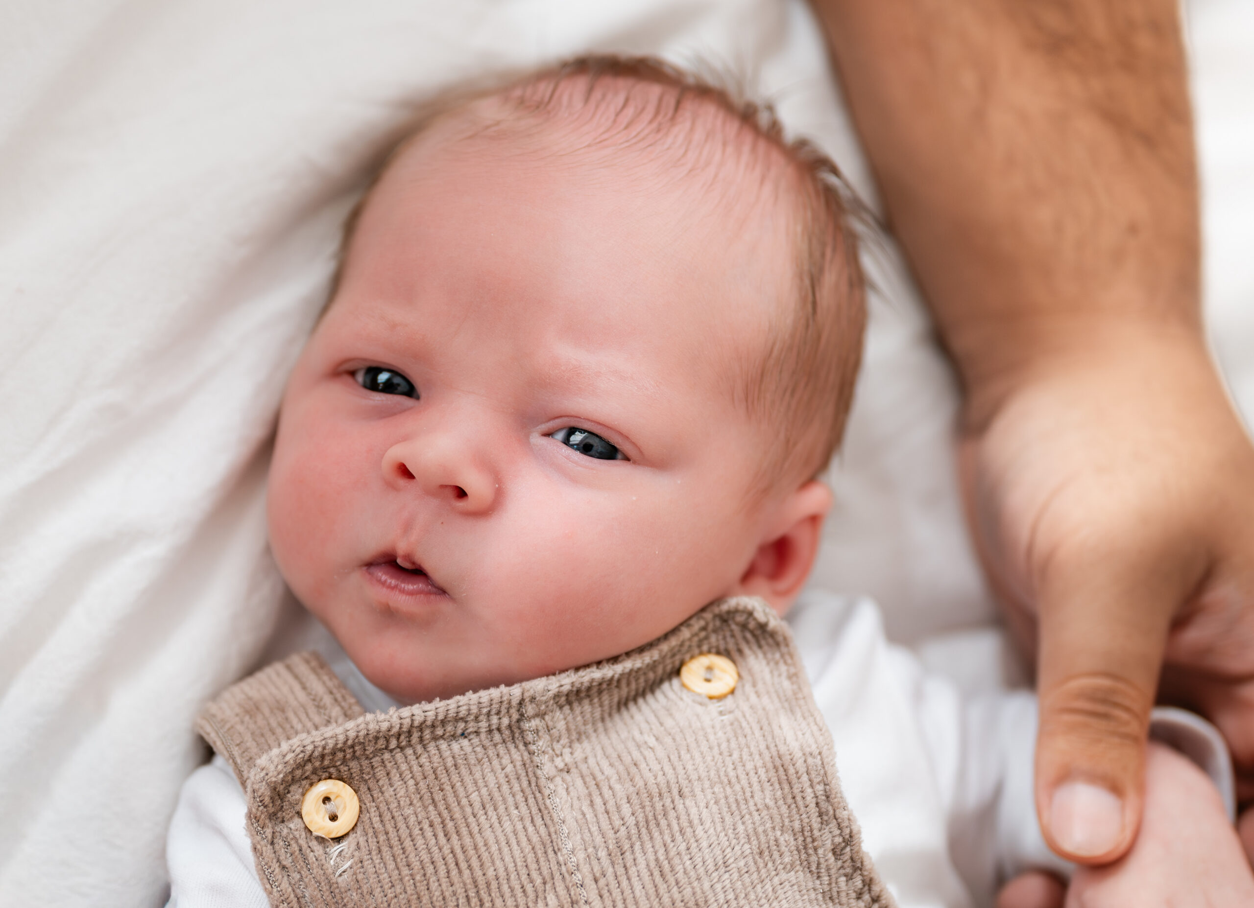 Newborn fotoshoot Antwerpen